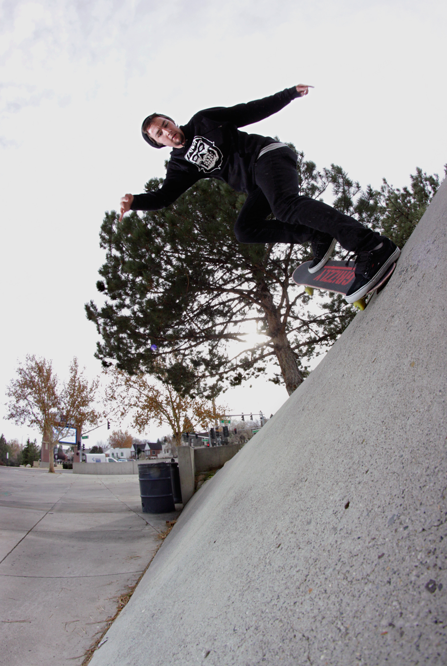 dewitt_nose-lawlor